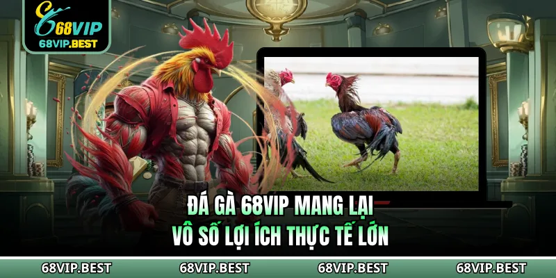 Đá gà 68VIP mang lại vô số lợi ích thực tế lớn
