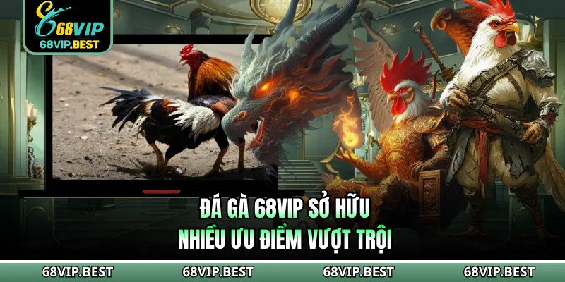 Đá gà 68VIP sở hữu nhiều ưu điểm vượt trội