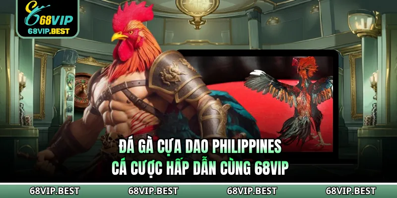 Đá Gà Cựa Dao Philippines - Cá Cược Hấp Dẫn Cùng 68VIP