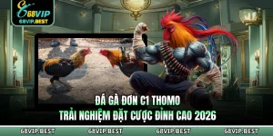 Đá Gà Đơn C1 Thomo 68VIP - Trải Nghiệm Đặt Cược Đỉnh Cao 2026