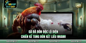 Gà Đá Đòn Độc Lộ Diện Chiến Kê Tung Đòn Kết Liễu Nhanh