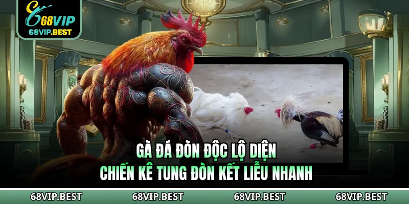 Gà Đá Đòn Độc Lộ Diện Chiến Kê Tung Đòn Kết Liễu Nhanh