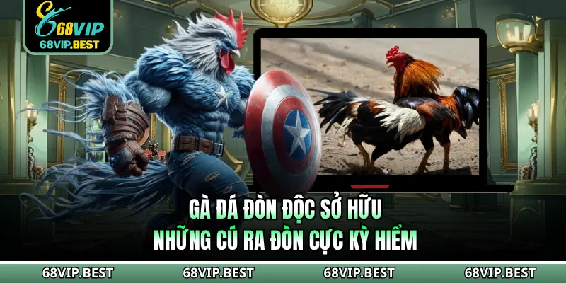 Gà đá đòn độc sở hữu những cú ra đòn cực kỳ hiểm