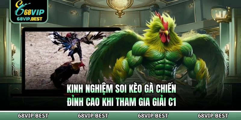 Kinh nghiệm soi kèo gà chiến đỉnh cao khi tham gia giải C1