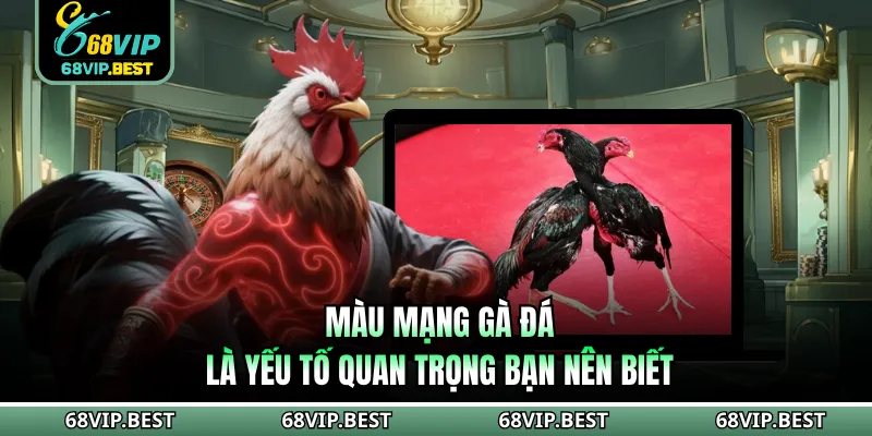 Màu mạng gà đá là yếu tố quan trọng bạn nên biết