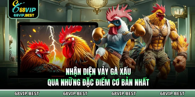 Nhận diện vảy gà xấu qua những đặc điểm cơ bản nhất